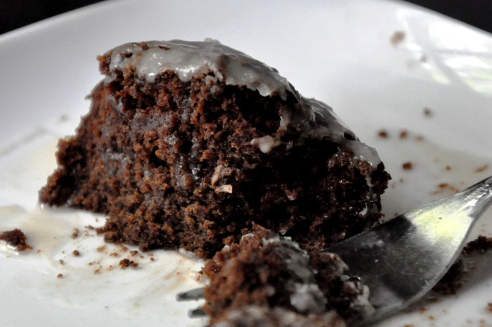 Simple Chocolate Cake with Icing