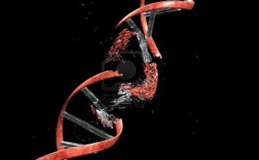 Link to Article: Suspected Genetic Glitch Might Be Behind&nbsp;Allergies