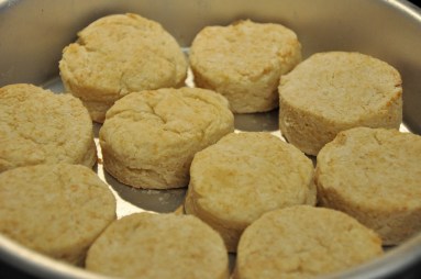 :-/ No rise. Not tender. Dense. Kinda hard. 