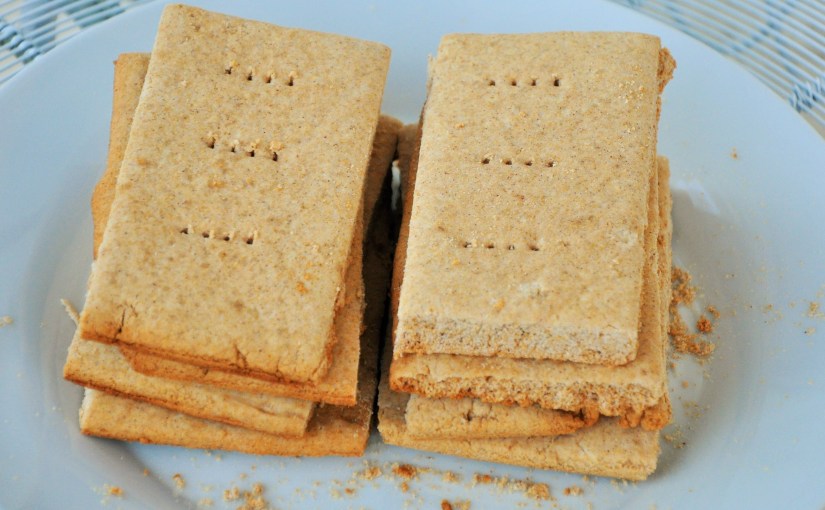Honey Graham Crackers (Free of Gluten, Dairy, Eggs, Nuts, Soy, and&nbsp;Rice)